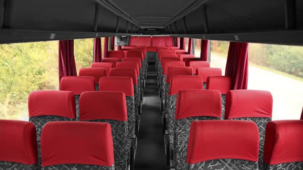 Coworkers Plan a Team Outing